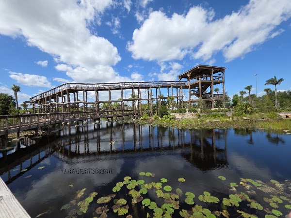 Everglades Elevated Boardwalk