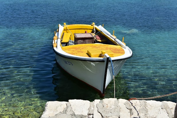 Pomena 5