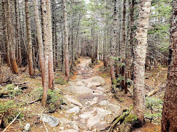 Tuckerman Ravine Trail