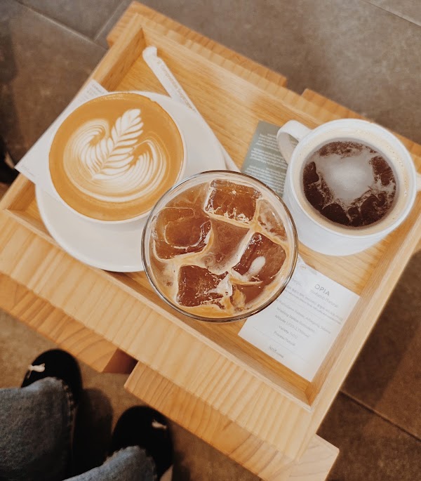 니트커피(knit coffee) 2