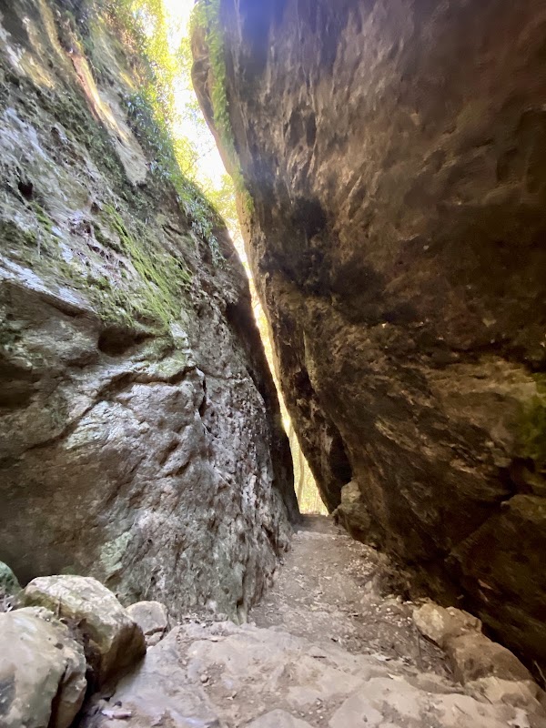 Twin Falls 4