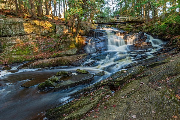 Hamilton falls
