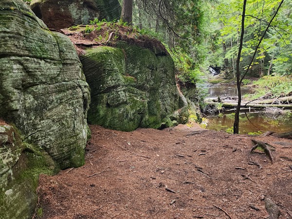 Potts Falls 3