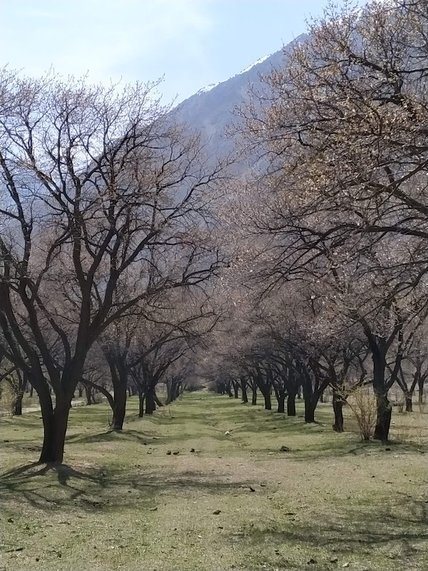Kyrgyzstan 2