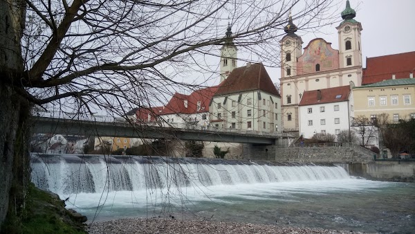 Steyr 3