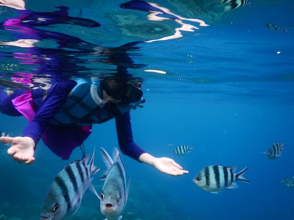 Karimunjawa National Park