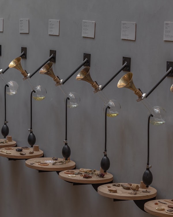 Perfumérica Flagship Store Condesa 4