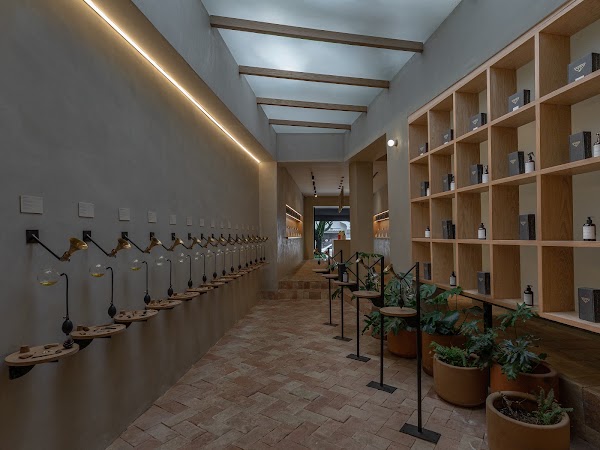 Perfumérica Flagship Store Condesa 3