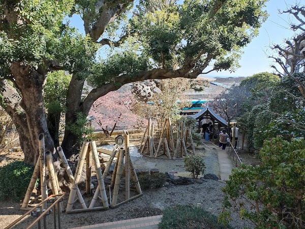 Izu-Kogen 5