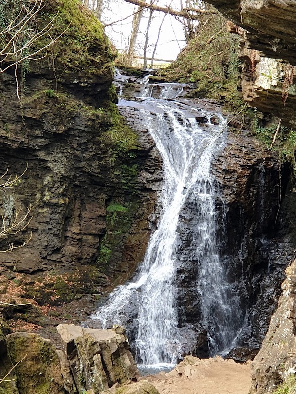 Hareshaw Linn Walk