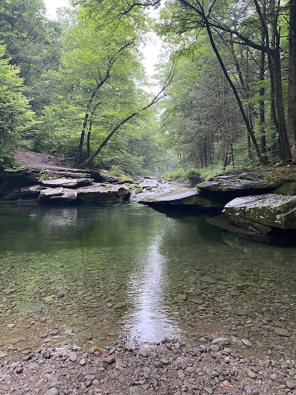 Peekamoose Blue Hole 1