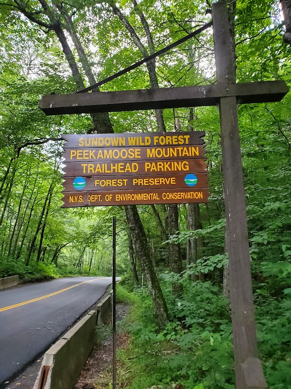 Peekamoose Blue Hole 2