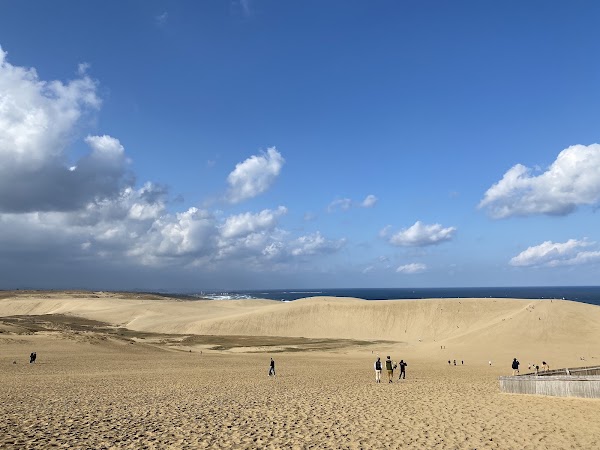 Horse Back Dune 1