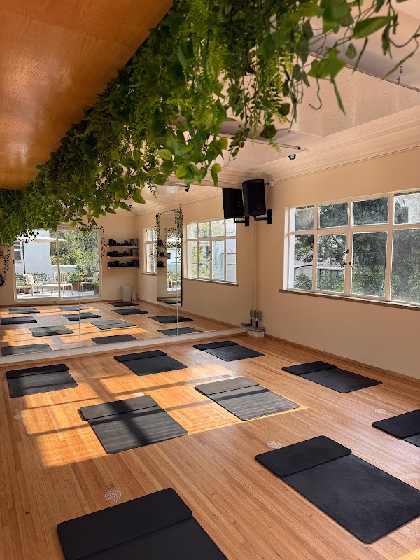 Amo verte studio - Polanco 1