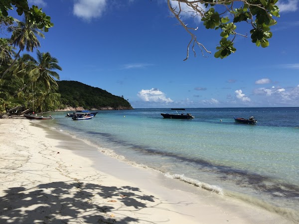 Manchaneel Beach 1