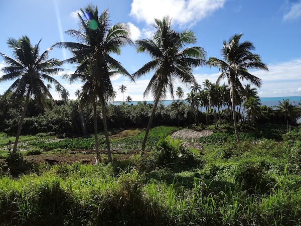 Arutanga 4