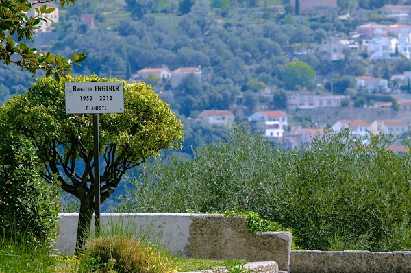 Jardin du Monastère de Cimiez 5