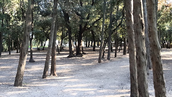 Jardin du Monastère de Cimiez 2
