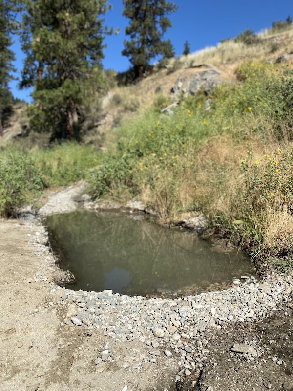 Hot Springs Pool 5