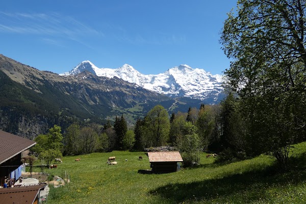 Jungfrau Region Tourism 5