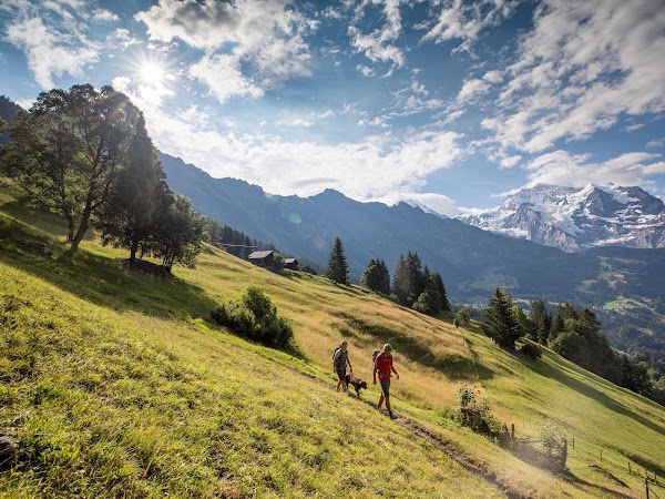 Jungfrau Region Tourism 4