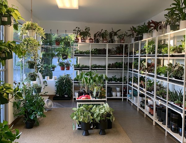 Send Nodes Plant Shop 5