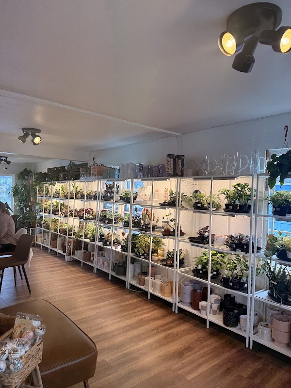 Send Nodes Plant Shop 4