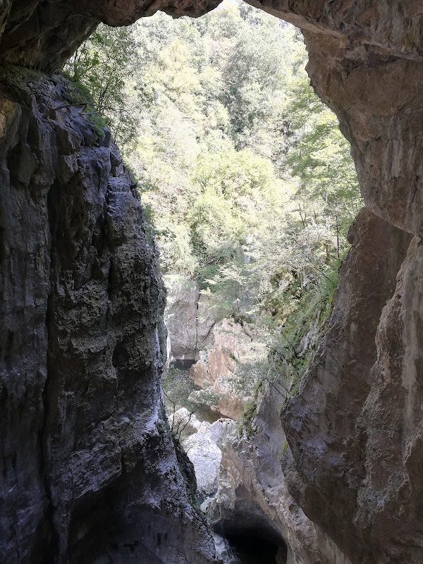 Reka 5