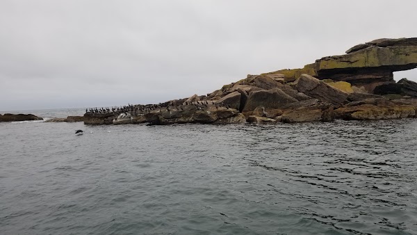 Nova Scotia 54