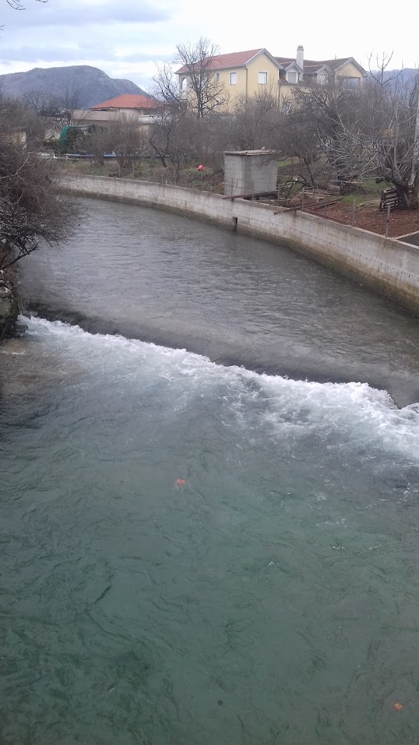Jasenica 3