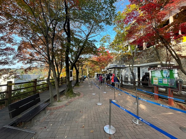 Palgongsan Cable Car 3