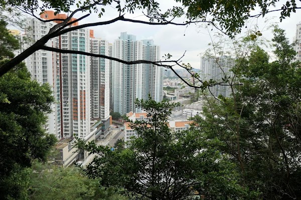 Garden Hill 3