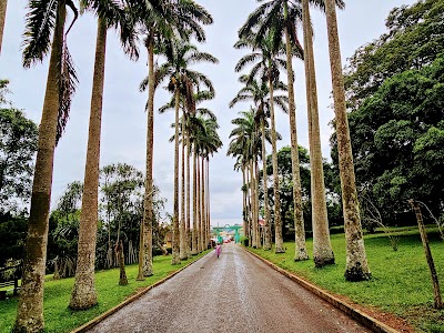 Aburi Botanical Gardens & Park | TortoisePath.com
