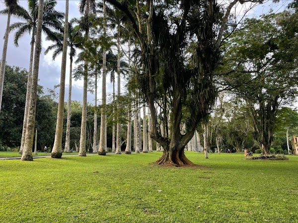 Aburi Botanical Gardens & Park | TortoisePath.com 4
