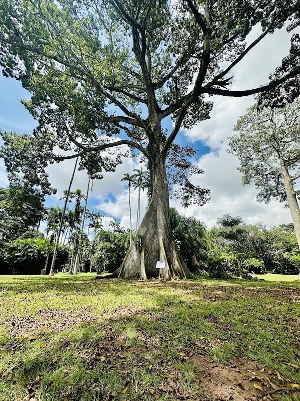 Aburi Botanical Gardens & Park | TortoisePath.com 3