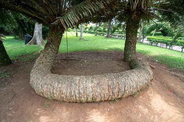 Aburi Botanical Gardens & Park | TortoisePath.com 2