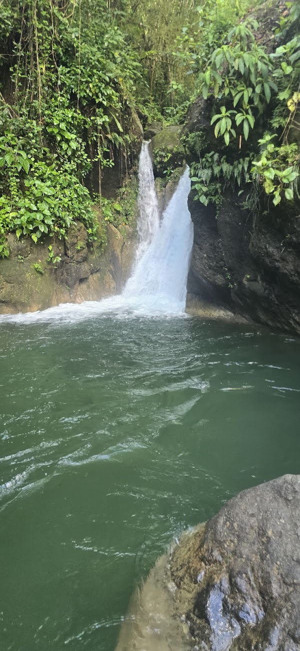Los Reyitos San Cristobal 1