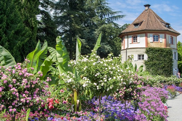 Mainau 2