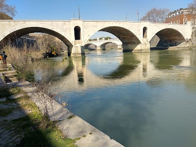Trastevere 2
