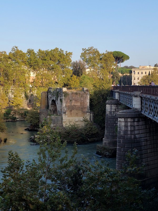 Trastevere 6