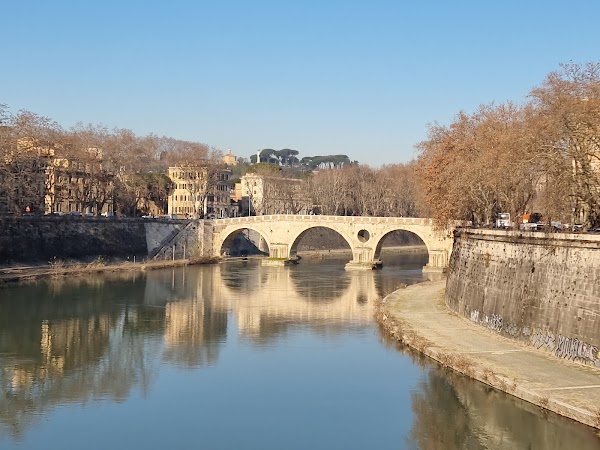 Trastevere 5