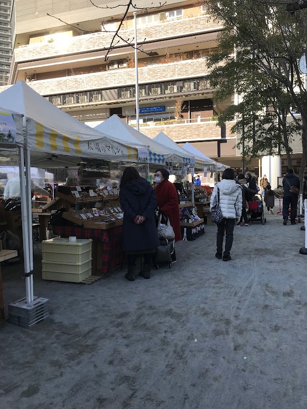 Marche of the Sun 1