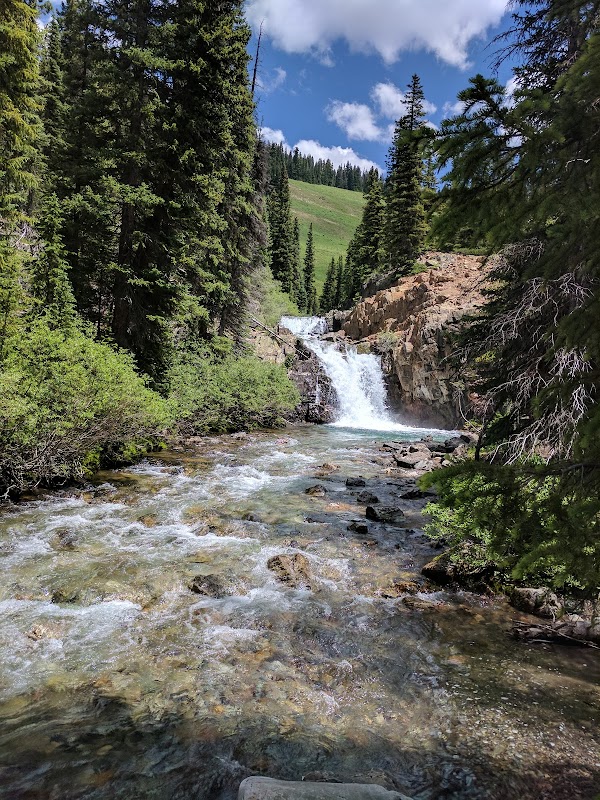 Gunnison National Forest 5