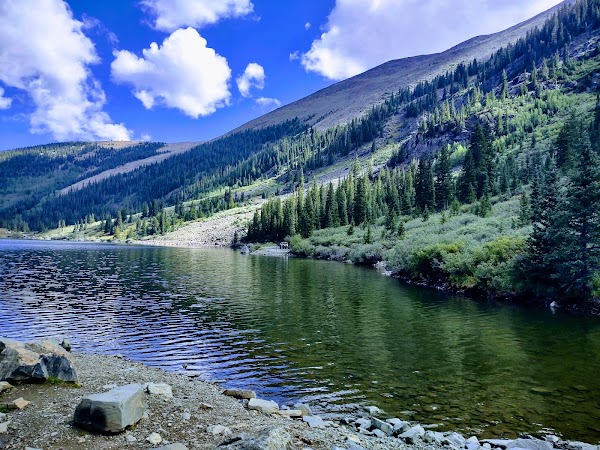 Gunnison National Forest 3