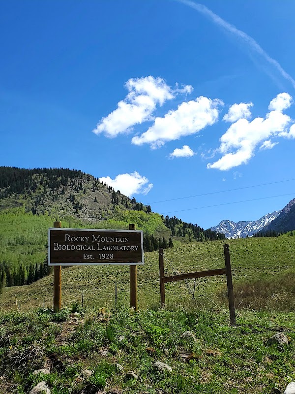 Gunnison National Forest 2