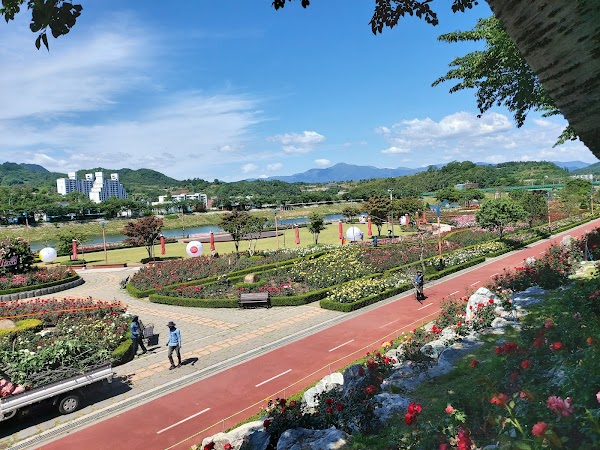 삼척 장미공원