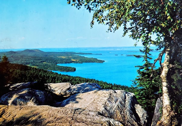 Koli
