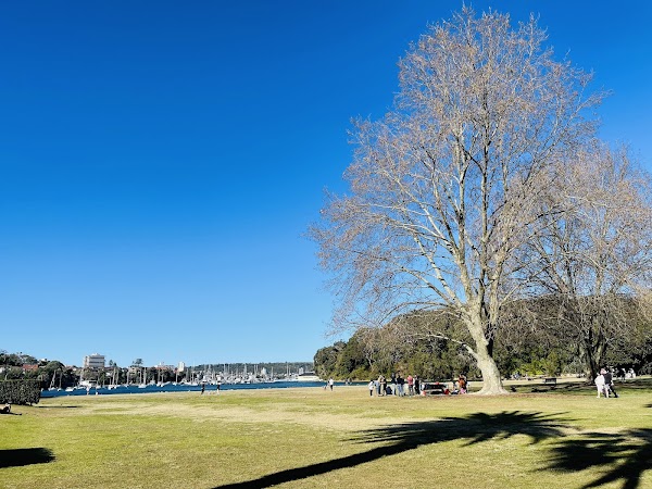 North Harbour Reserve 5