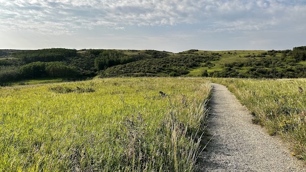 Nose Hill Park 5