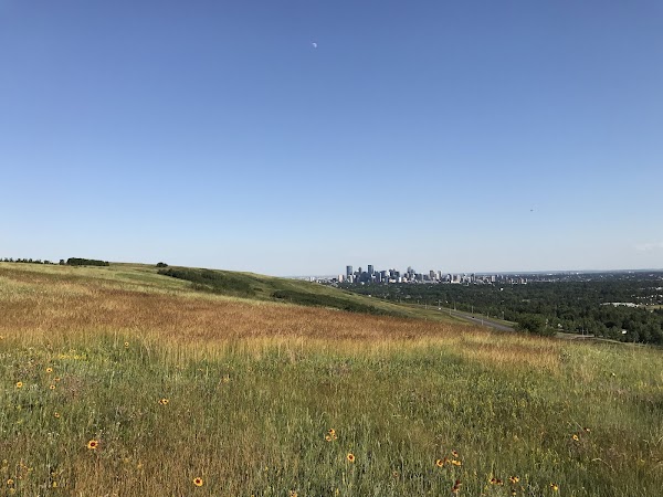 Nose Hill Park 4